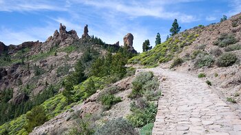 Wanderweg zum Roque Nublo auf Gran Canaria Wanderweg