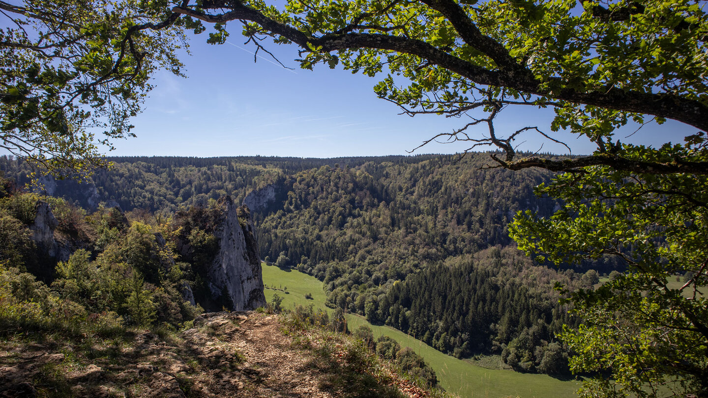 Kiefer und Talblick, Aussichtspunkt Burgstall.