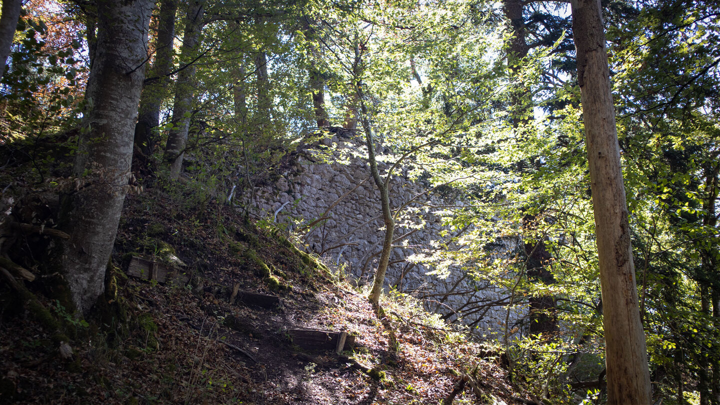 Pfad durch moosigen Wald zur Burgruine Stein.