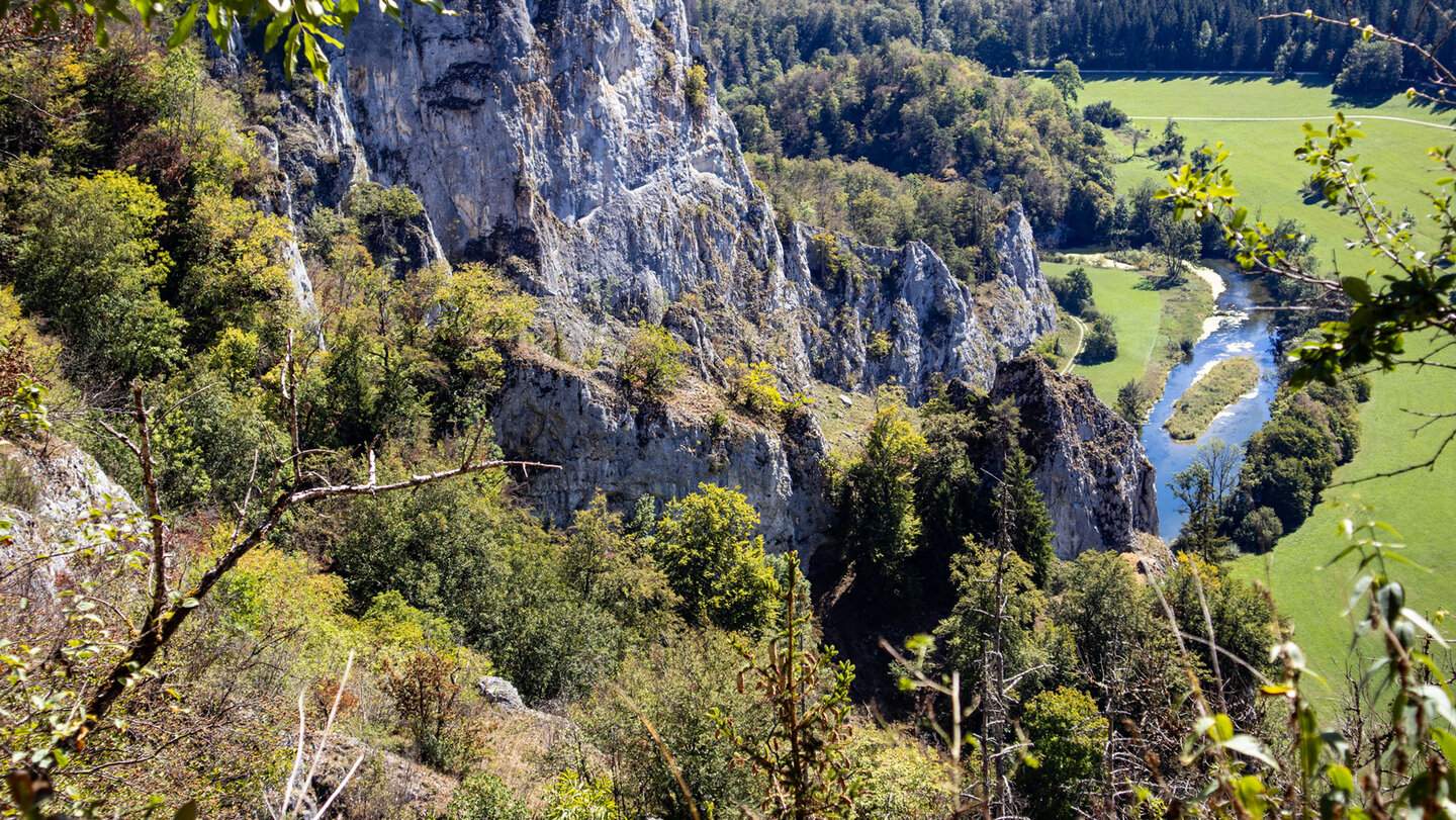 Flussschleife der Donau beim Stiegelesfels