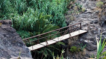 eine Brücke quert den Barranco de Masca auf Teneriffa