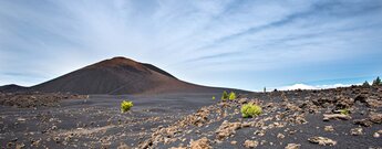 Lapilifeldern um den Aschekegel des Montaña Chinyero