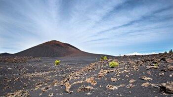 Lapilifeldern um den Aschekegel des Montaña Chinyero