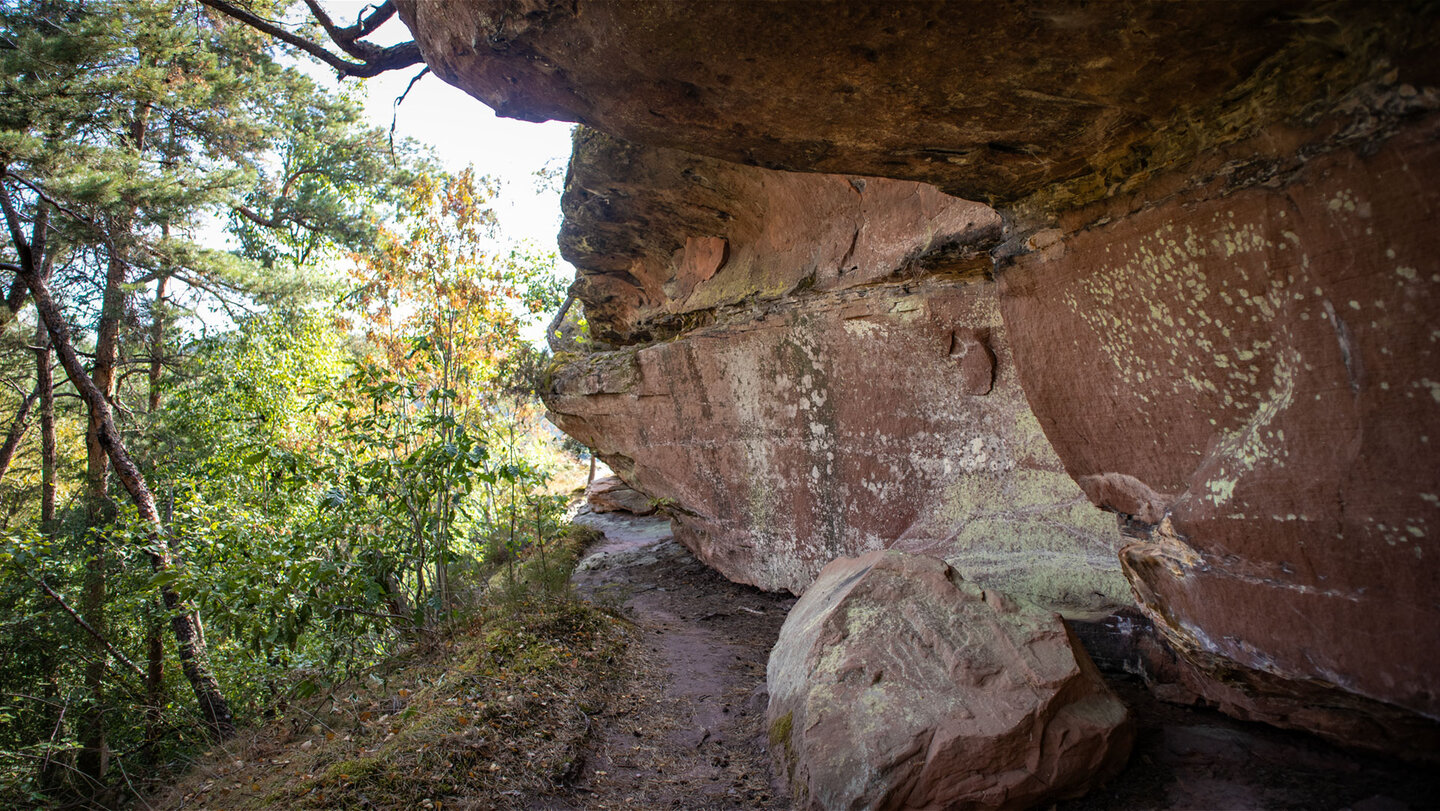 Enger Wanderpfad direkt unter einem Buntsandstein-Überhang der Nesselbergfelsen, flechtenbedeckte Felswand, herbstlicher Mischwald