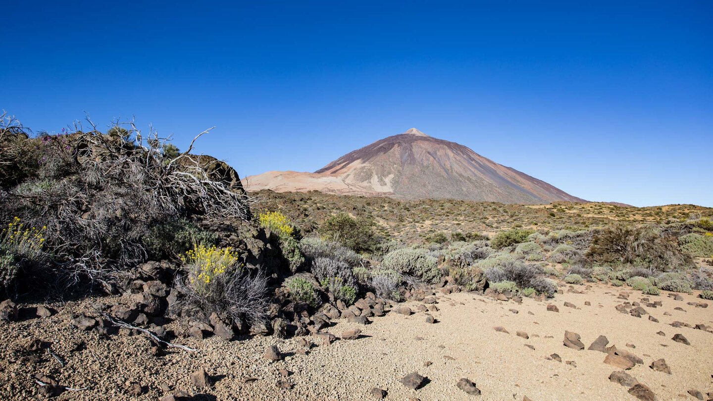 Panoramablicke auf Teide mit Montaña Blanca auf dem Wanderweg 1 La Fortaleza