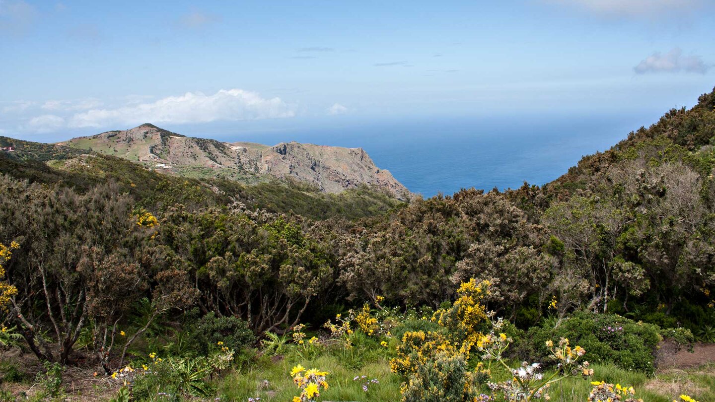 wunderbare Ausblicke vom Wanderweg nach Teno Alto auf den Atlantik