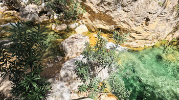 Kalksteinfelsen und Wasserbecken am Bachlauf des Rio Verde