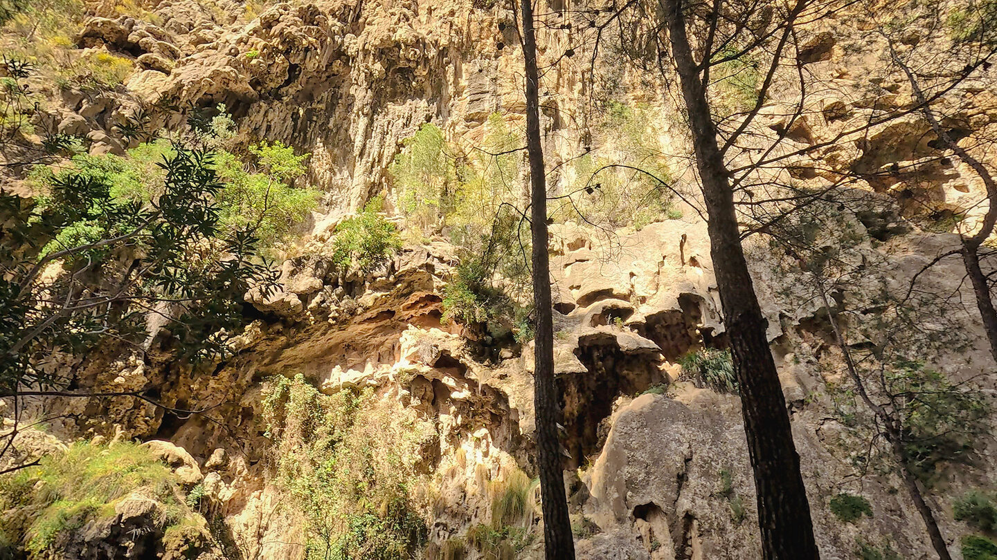 Tropfsteinformation in der Schlucht des Rio Verde Tropfsteinformation in der Schlucht des Rio Verde