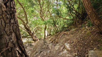 Wanderweg im Barranco de las Chorreras