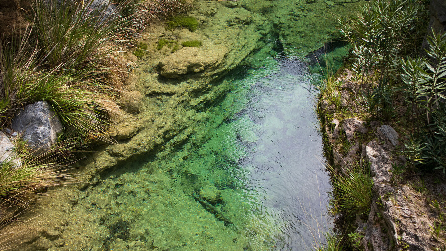 Wasserbecken in der Schlucht des Rio Verde Wasserbecken in der Schlucht des Rio Verde