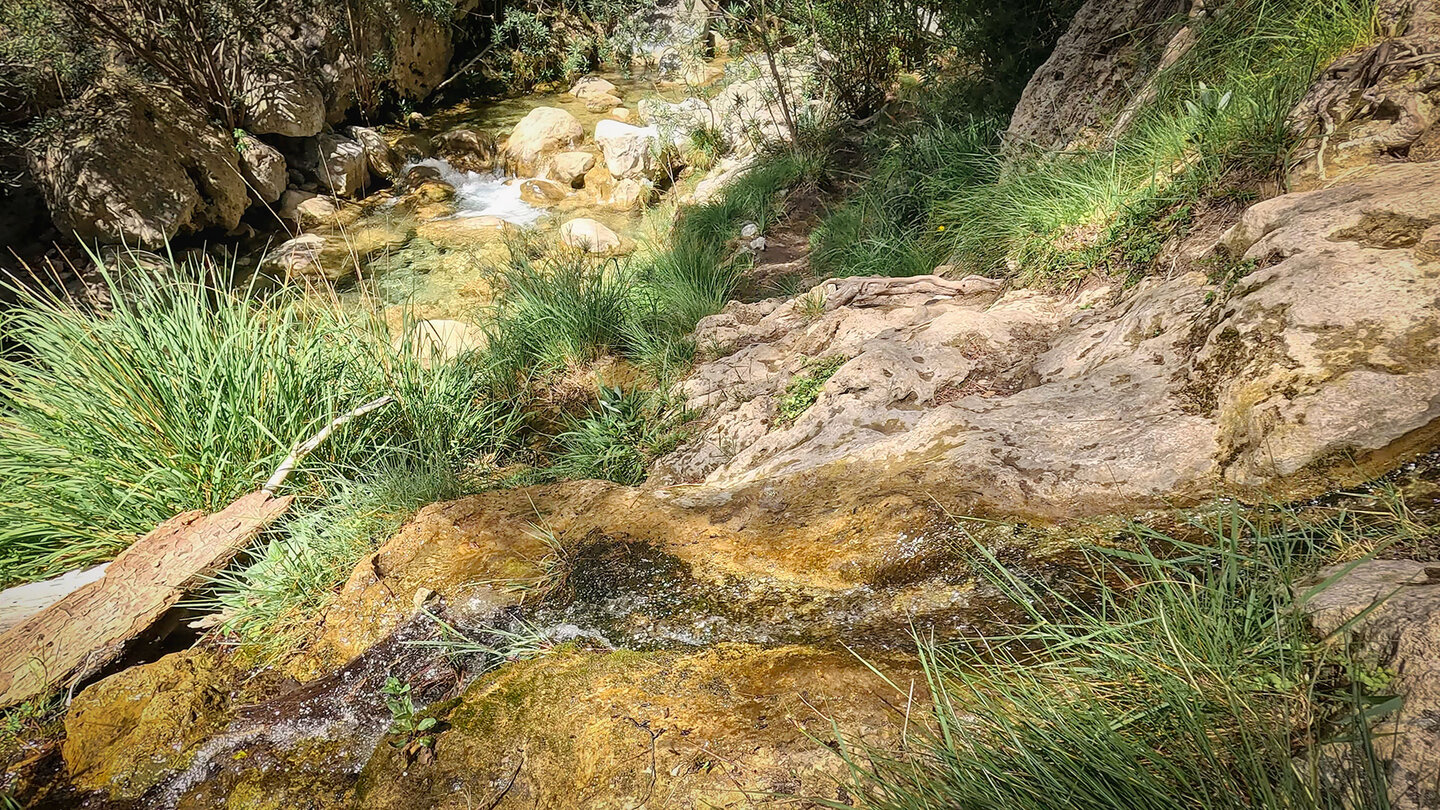 Querung eines kleinen Zuflusses zum Rio Verde Querung eines kleinen Zuflusses zum Rio Verde