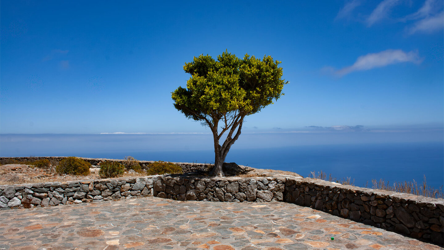 Gemauerte Aussichtsplattform mit Baum auf der Montaña de Tagaragunche (Calvario)