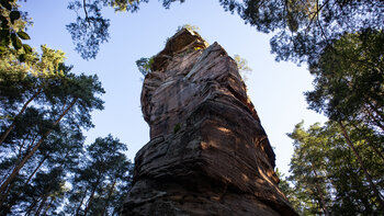 Der Klosterfels erreicht an seinen höchsten Stellen bis zu 41 Meter.