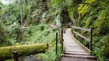 Holzsteg in der Lotenbachklamm