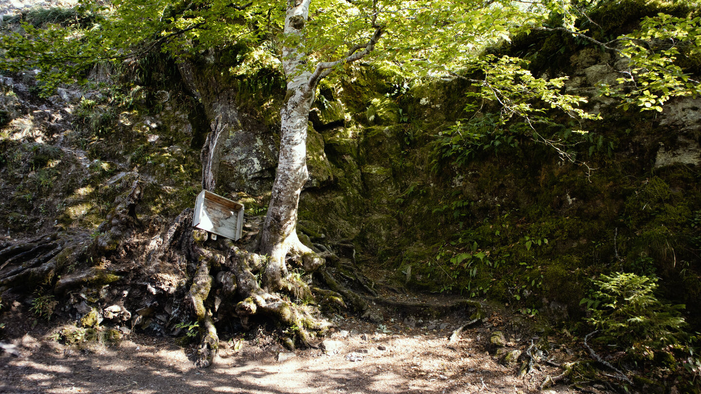 Räuberschlössle entlang des Schluchtensteigs