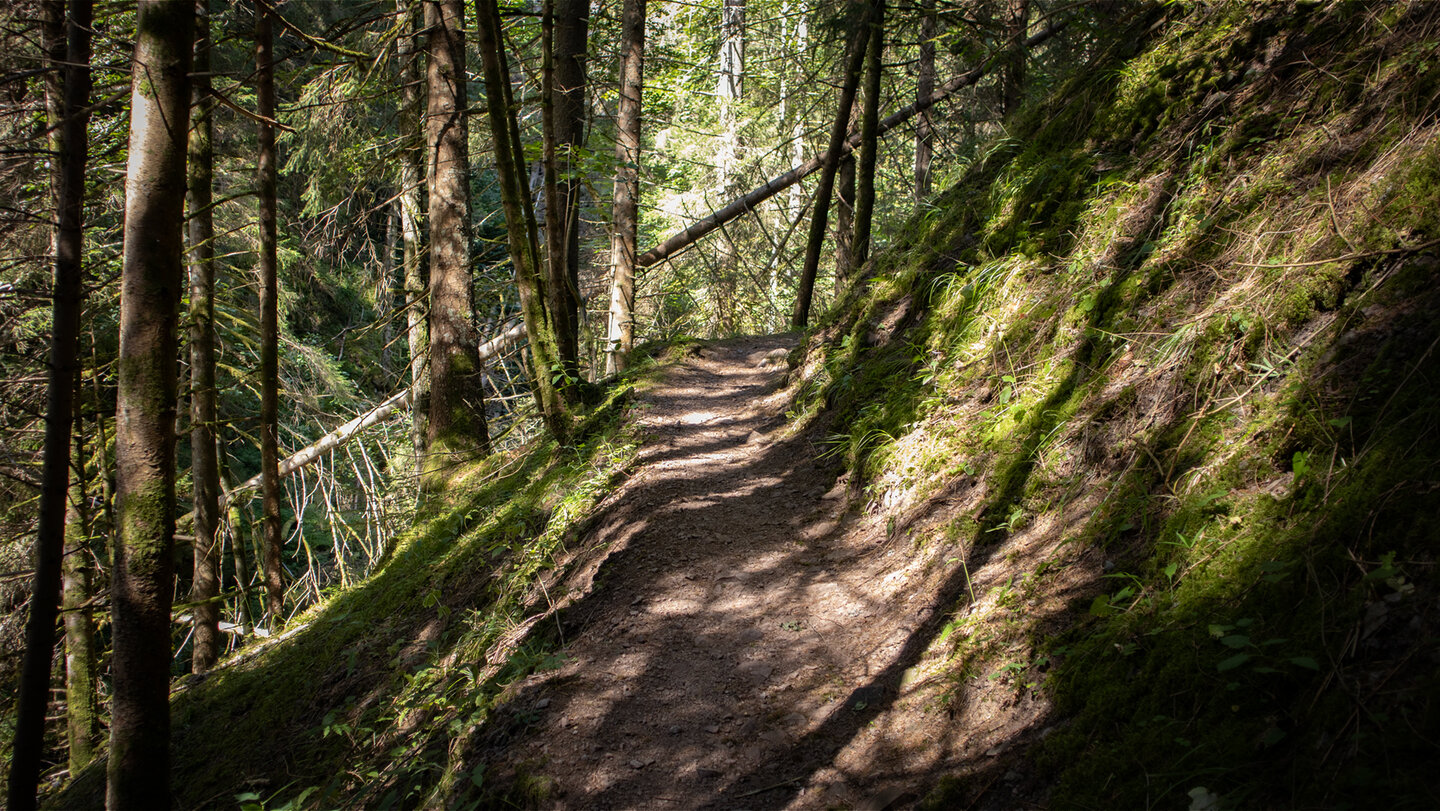 Schattenspiel in der Rötenbachschlucht
