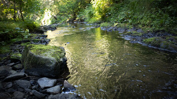 Bachlauf des Rötenbachs
