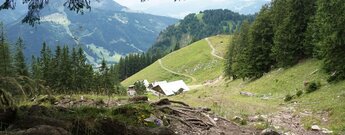 Alpenwirtschaft Hirschalpe in den Allgäuer Alpen