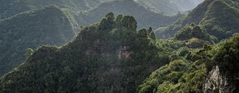 Schluchtenlandschaft im Norden der Insel La Palma