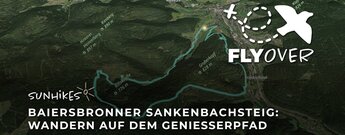 Genießerpfad: Baiersbronner Sankenbachsteig – Flyover