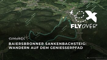 Genießerpfad: Baiersbronner Sankenbachsteig – Flyover