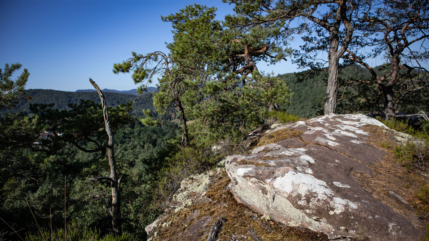Ausblick vom felsigen Gipfelplateau des Strackfelsen.