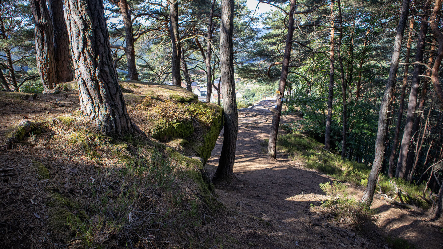 Wanderpfad entlang der Eichelberg-Tour.