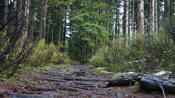 Wanderweg zum Rudolfstein