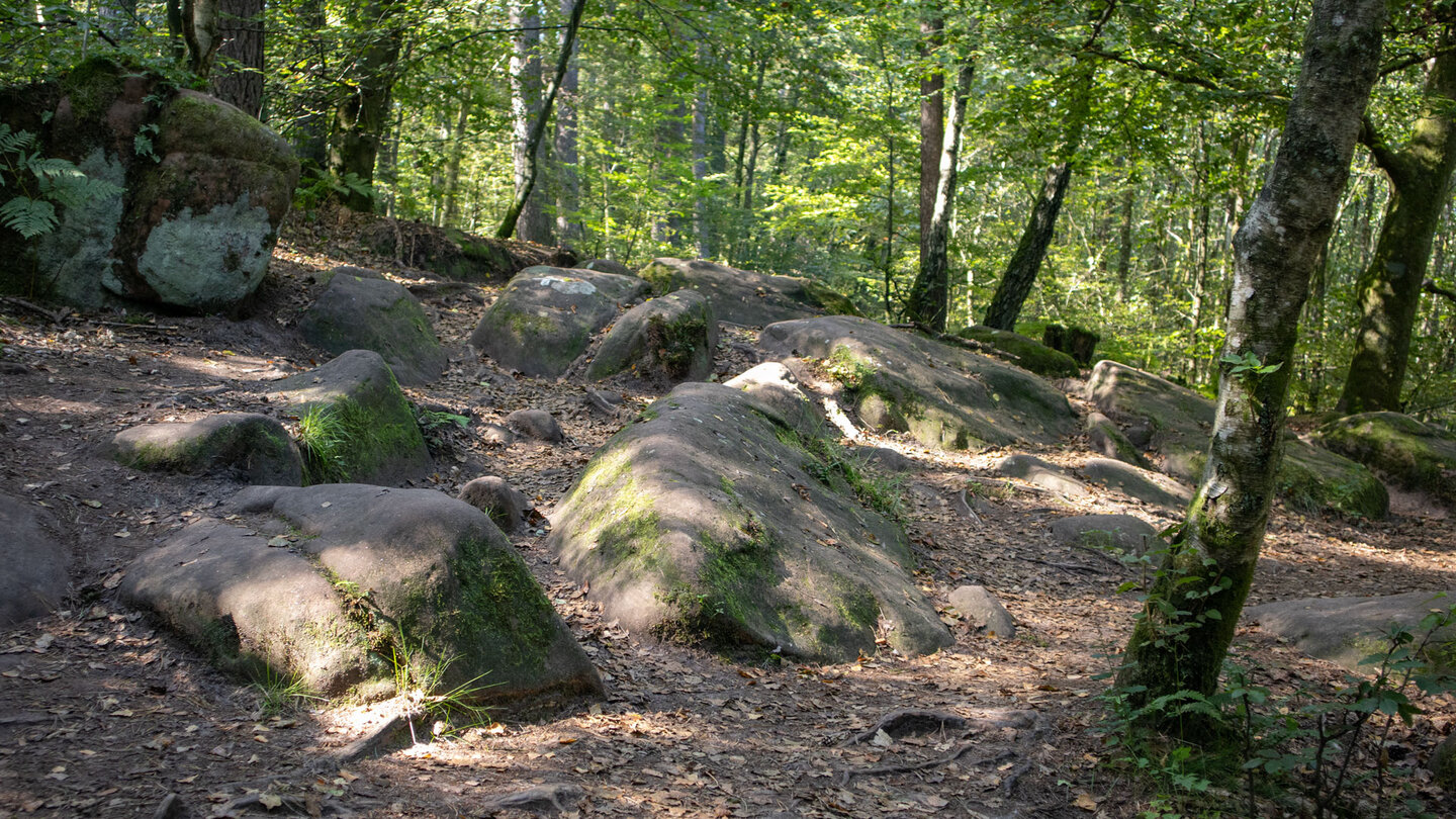 felsiger Wanderpfad zu den Altschlossfelsen