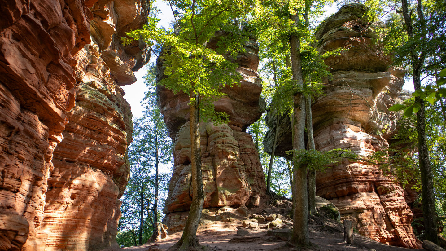 die beeindruckenden Felstürme der Altschlossfelsen