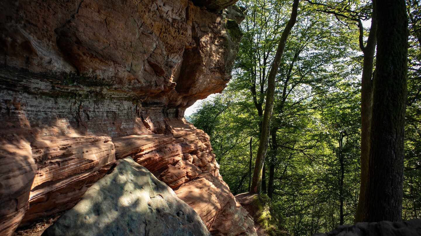 entlang der Altschlossfelsen bieten sich zahlreiche Felsdurchstiege