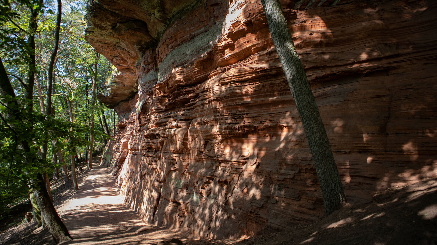 die bis zu 30 Meter hohen Felsklippen der Altschlossfelsen