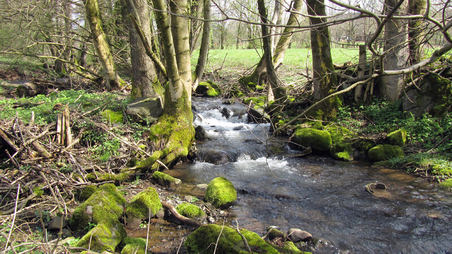 der Eichelbach