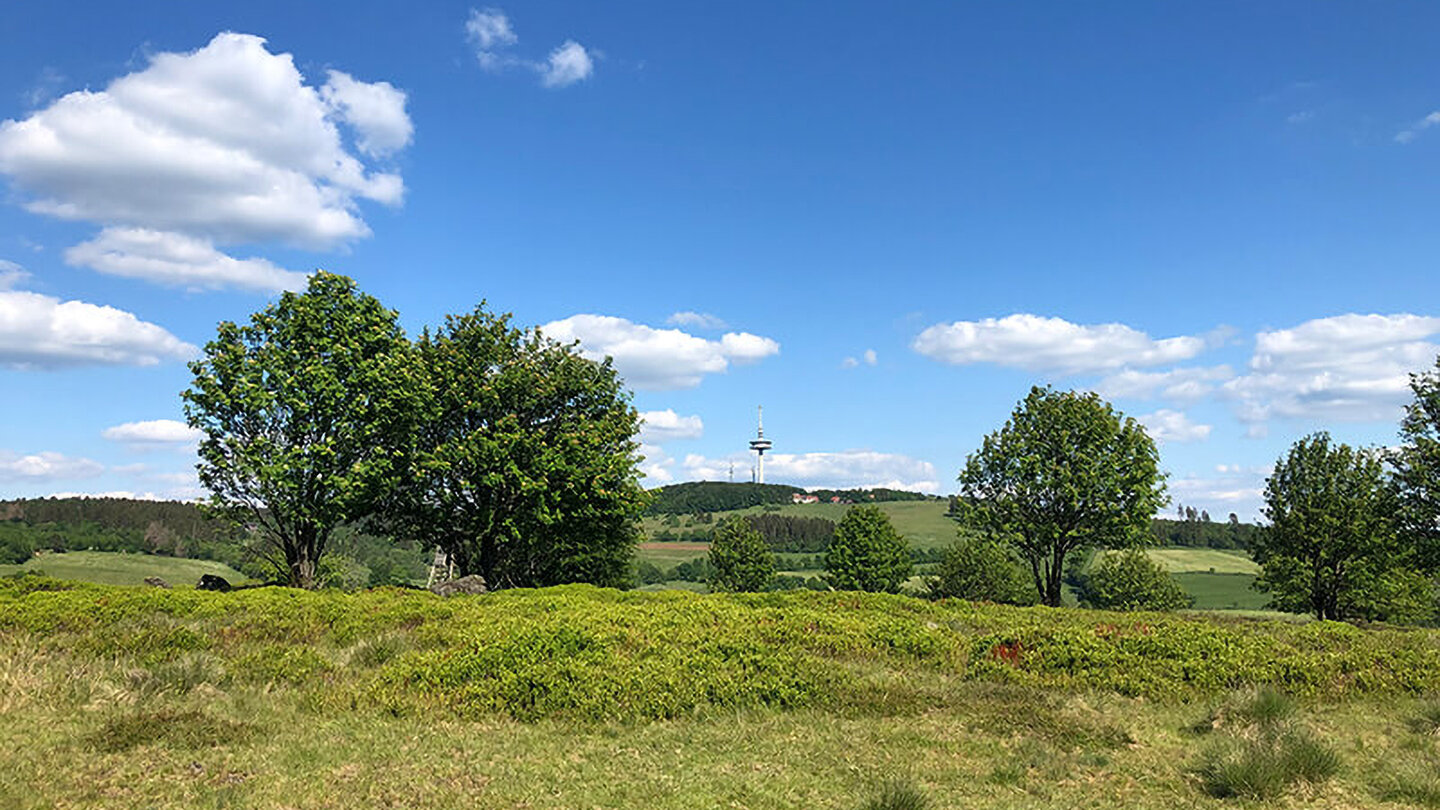 Blick zum Hoherodskopf