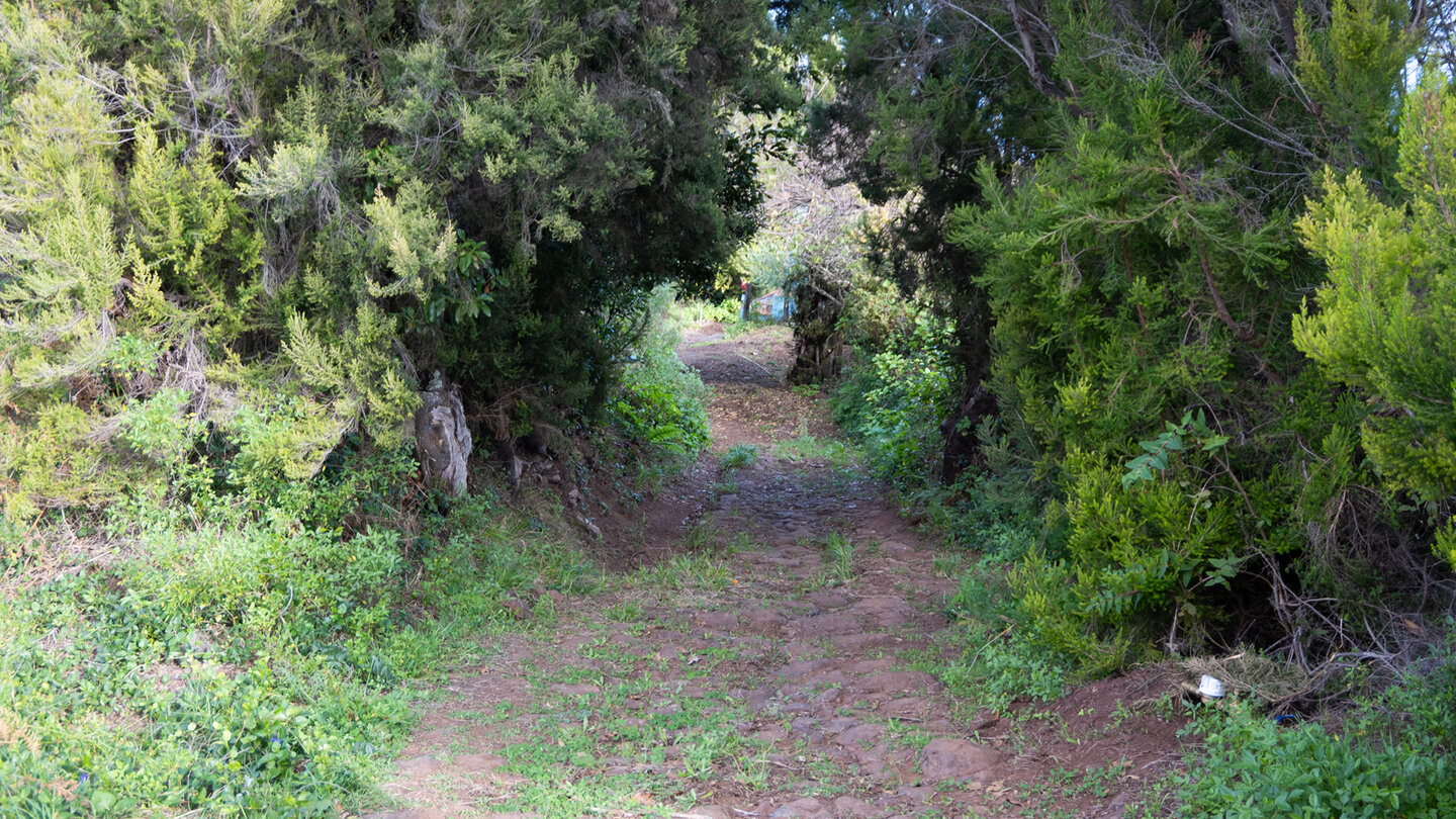 der Wanderweg unterhalb Roque del Faro