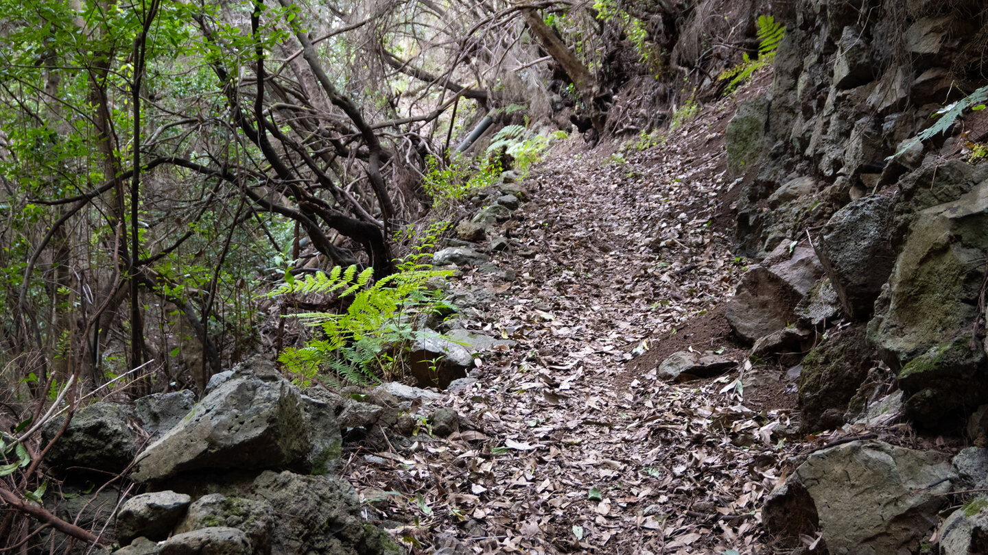 die Wanderroute zwischen Roque del Faro und El Tablado