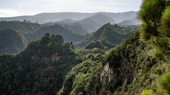 Schluchtenlandschaft im Norden La Palmas am Barranco de los Hombres