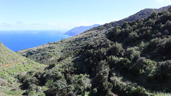 Ausblick entlang der Nordküste bei Don Pedro