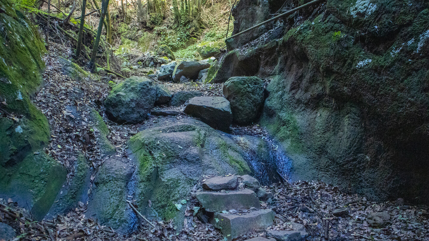 Wanderung im Bachbett der Magdalena-Schlucht