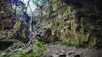 Felsformationen im Barranco de la Zarza