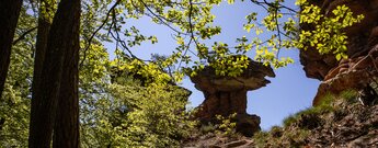 Blick vom Wanderweg zum Sattlefelsen