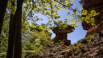 Blick vom Wanderweg zum Sattlefelsen