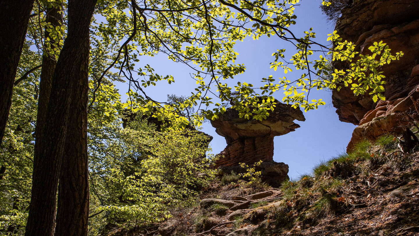 Blick vom Wanderweg zum Sattlefelsen
