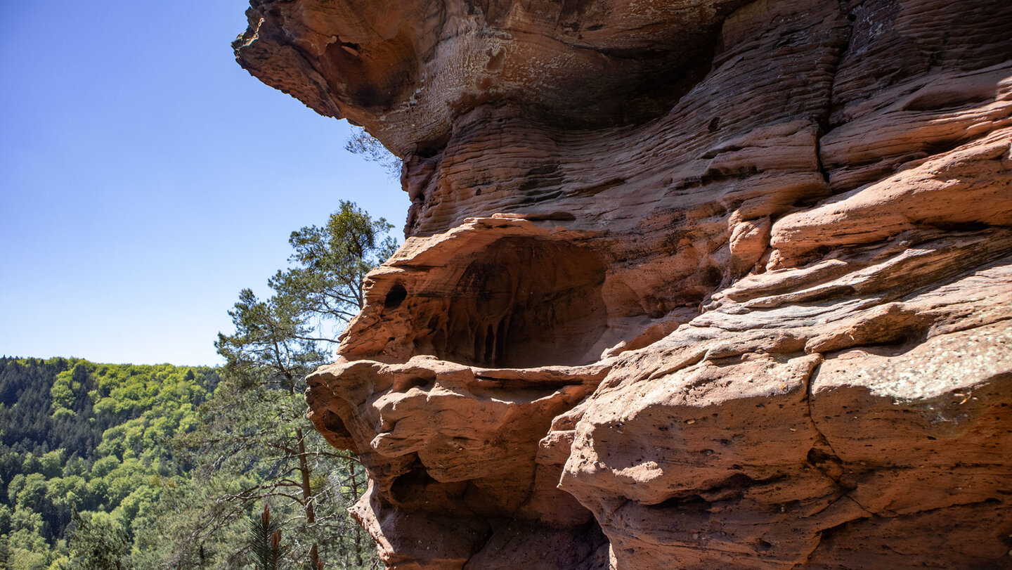 Wabenverwitterung am Sattelfelsen