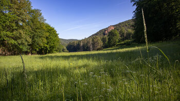 Blick entlang des Stephanstals auf Stephanstürme
