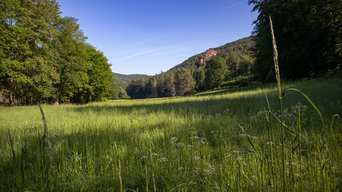 Blick entlang des Stephanstals auf Stephanstürme