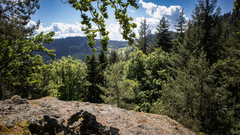 Panorama vom Breitfelsen bei Ottenhöfen im Schwarzwald