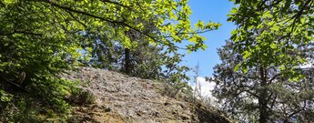 Wanderweg über den Breitfelsen im Nordschwarzwald