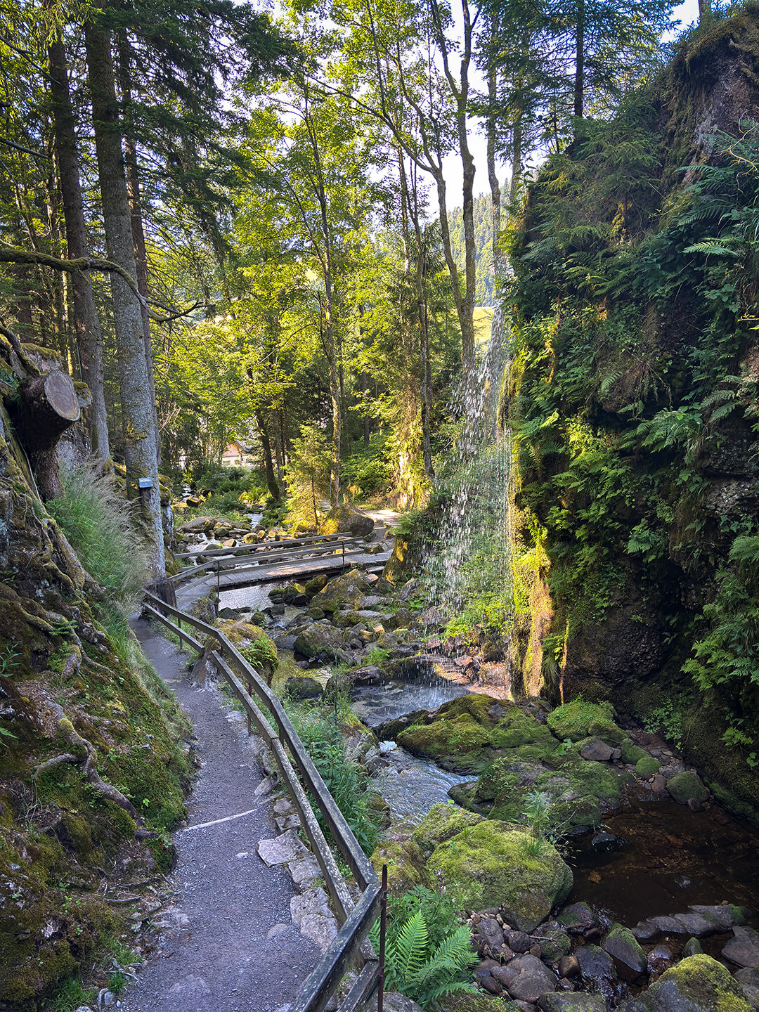Alb fließt zwischen den bemoosten Felsen der Albschlucht