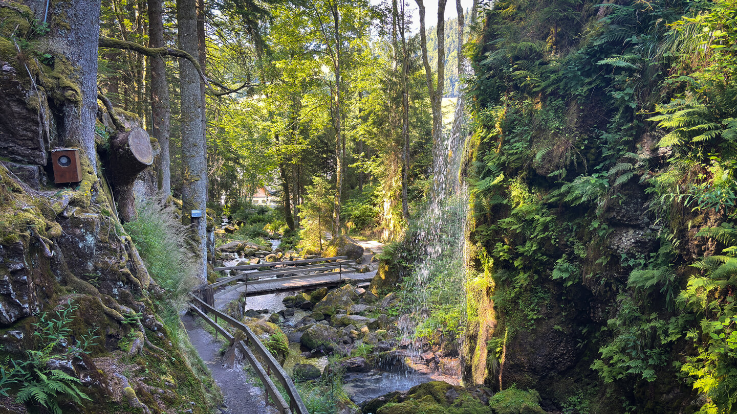 Fußgängerbrücke führt über die Menzenschwander Alb